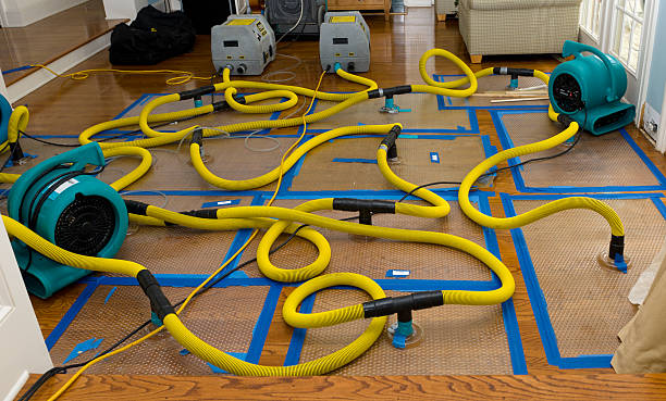 Professional Burst Pipe Water Damage technician working in Wildwood, NJ